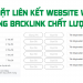 Code đặt liên kết website widget tăng backlink phát triển lên top 1